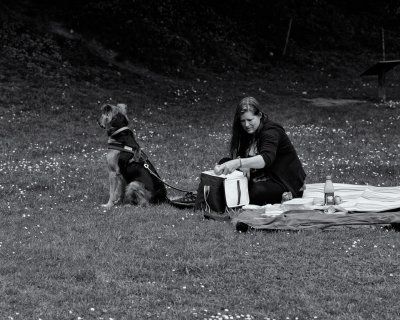 Picnic