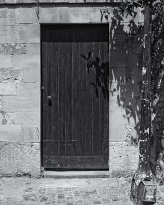 The Door