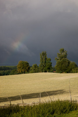 IMG_8074.jpg