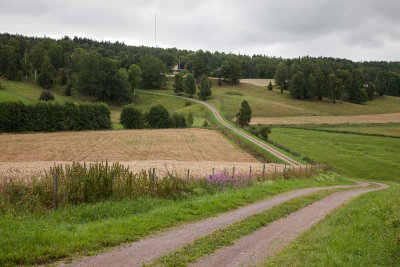 IMG_8082.jpg