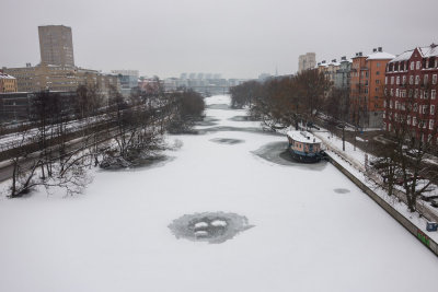 A head in the ice?