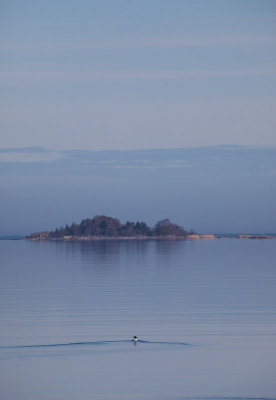 Blue morning