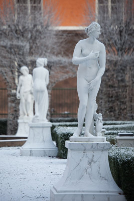 Cold white - in the garden of Piperska muren