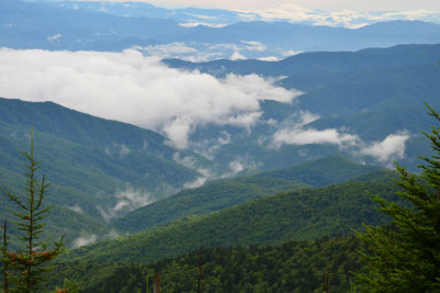 View From Clingmans Dome