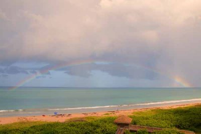 Florida Rainbow