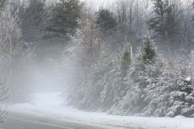 Icy Fog 2