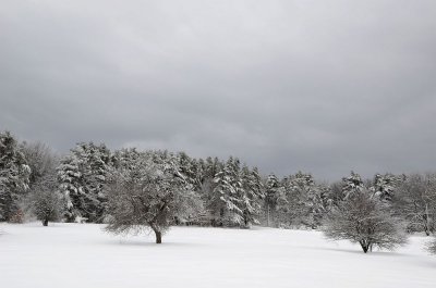 Chesley Hill 2013