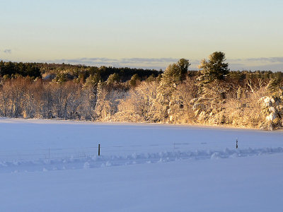 Chesley Hill 2014