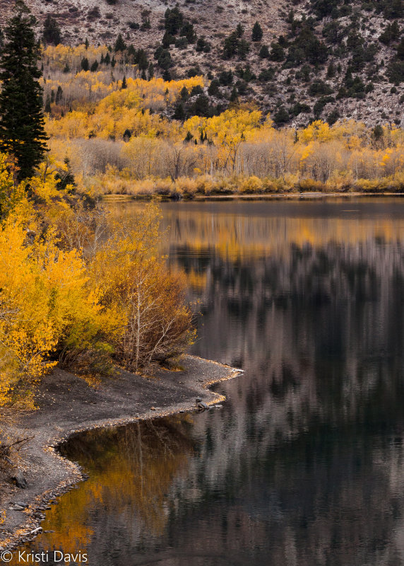 Shoreline, Convict Lake