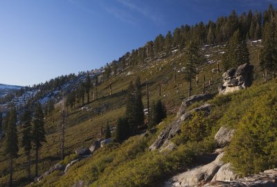 meadow at Glacier Point