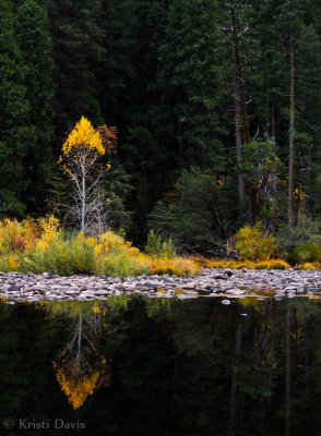 Yosemite National Park, October 2013