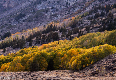 Colors along the June Lake Loop