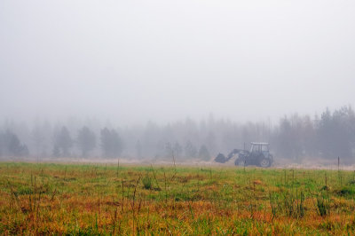 Hunting season; Morning fog