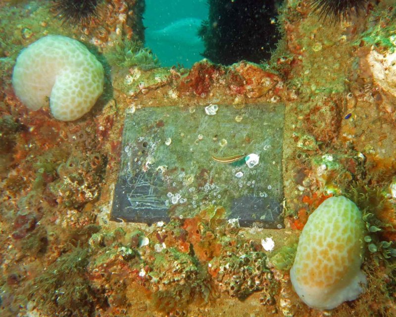 Plaque on Drews Reef