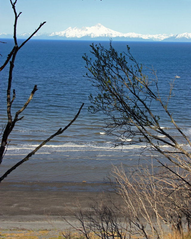 Cooks Inlet