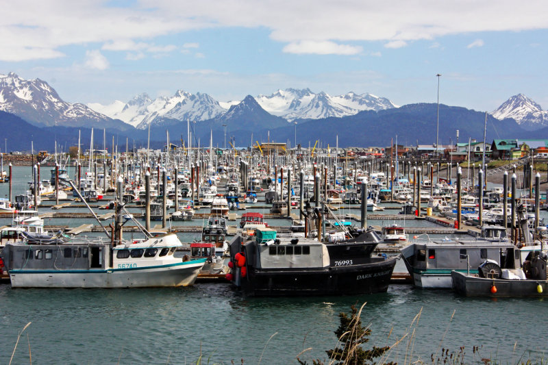 Homer, Alaska