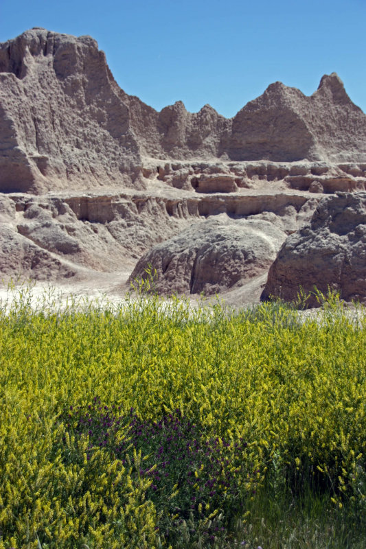 Badlands in spring