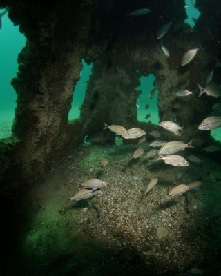 Inside the pyramid