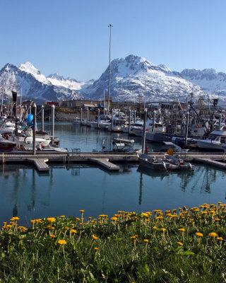 Valdez