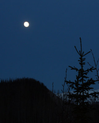 Full moon