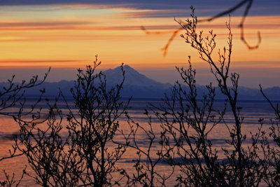 Cook Inlet, Starisky Campground