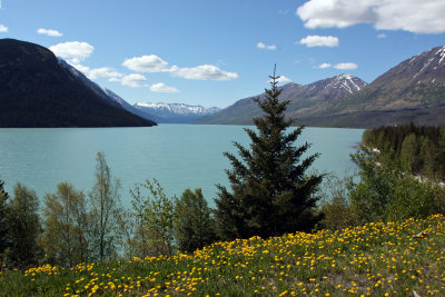 Lake on Kenai Peninsula