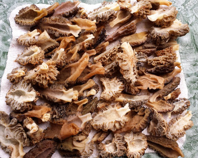 Morels we gathered - absolutely delicious!