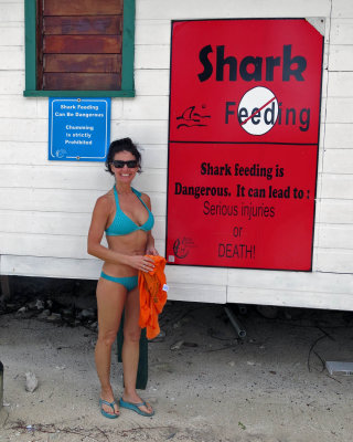 Kimberly - Don't feed the sharks!