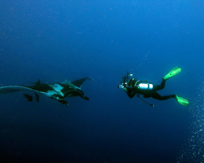 Revillagigedos (Socorro) Islands, Mexico