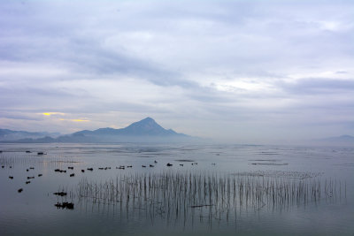 _DSC7695 ps.jpg