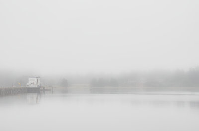 Fog In Coos Bay, Oregon