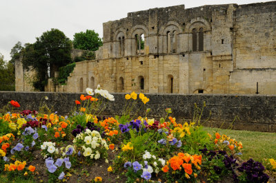 The Ruins of the Cardinal's Palace