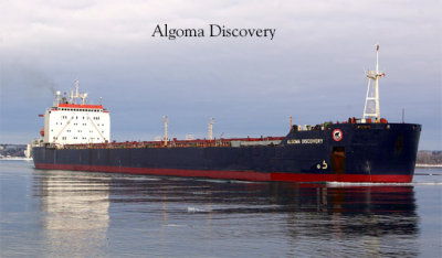 Algoam Discovery