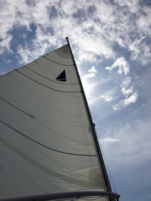 IMG_1871.jpg