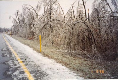 Ice Storm - Upstate NY - January 1998