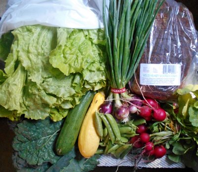 Farmers Market 2016-06-25