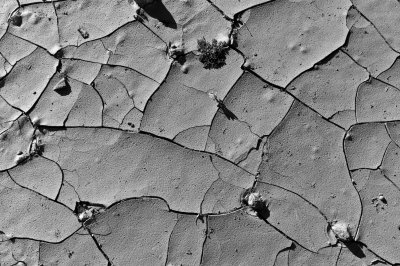 L1002579.jpg