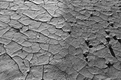 L1002622.jpg