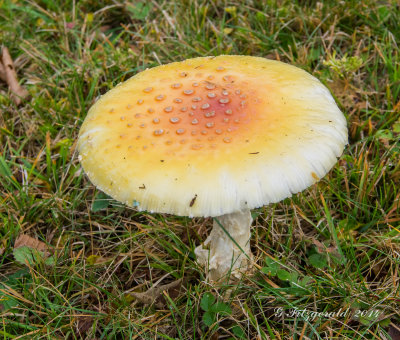 IMGP5476.jpg