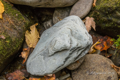IMGP5945.jpg