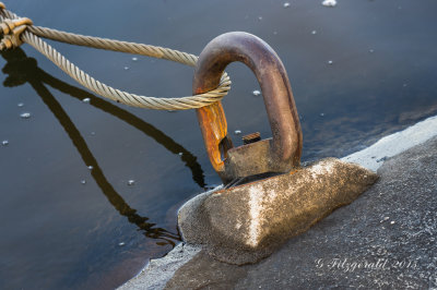 IMGP8109.jpg