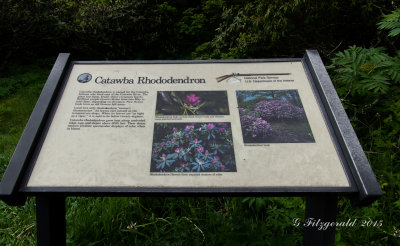 IMGP9414.jpg