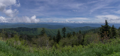 IMGP7262_stitch.jpg