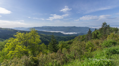 IMGP7299.jpg