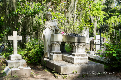 IMGP0727.jpg