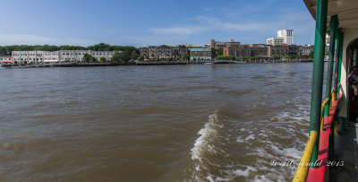 IMGP7833.jpg