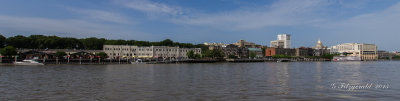 IMGP7836.jpg