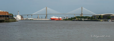 IMGP0341.jpg