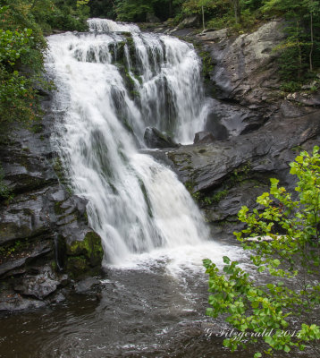 IMGP2861.jpg