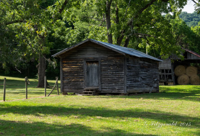 IMGP2911.jpg